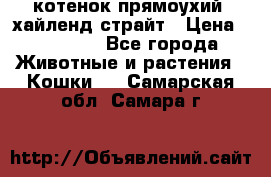 котенок прямоухий  хайленд страйт › Цена ­ 10 000 - Все города Животные и растения » Кошки   . Самарская обл.,Самара г.